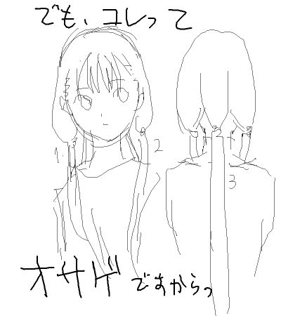残念っ!普通そんな髪型できませんから斬りっ! 1108045203000.png